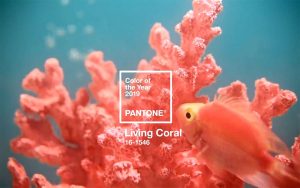 featured_pantone2019